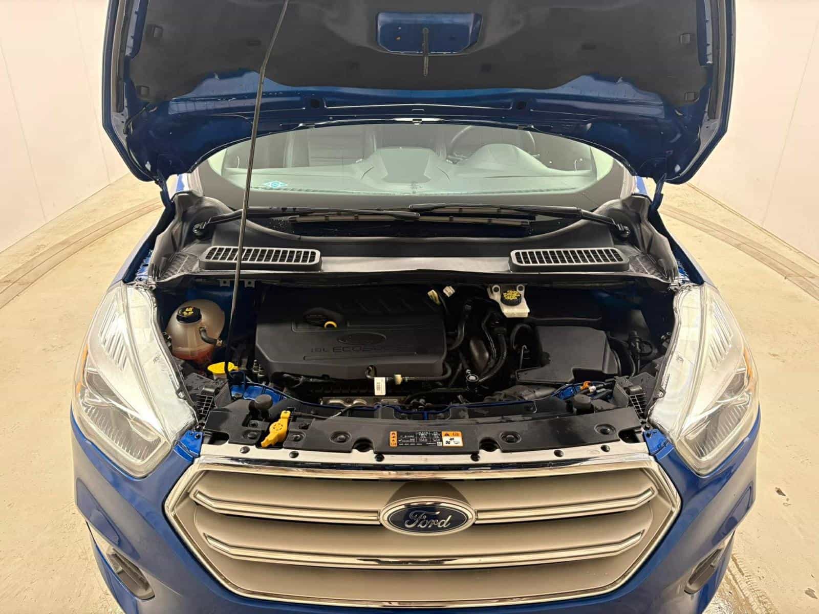 Image 9 Ford Escape SEL 2018