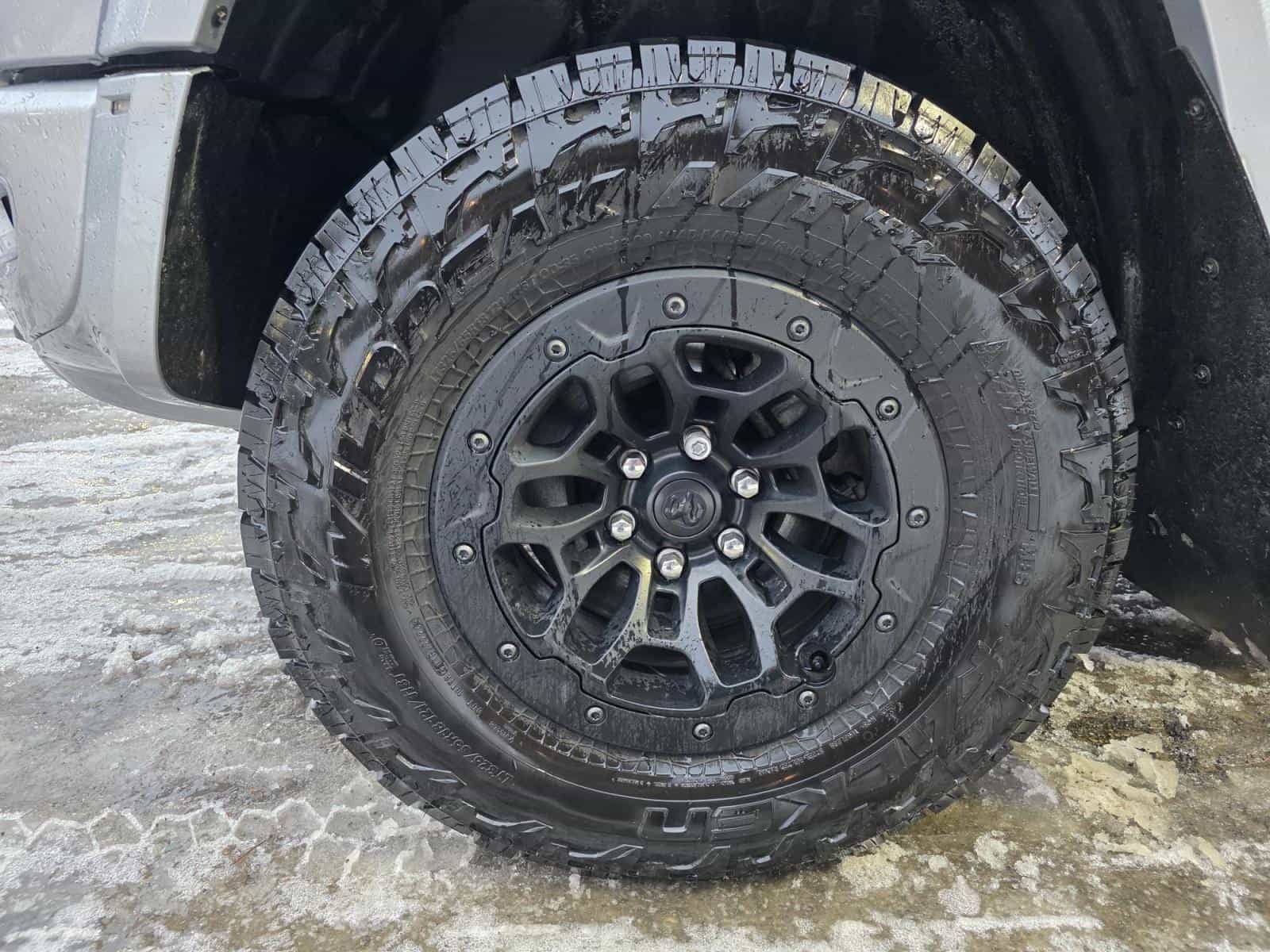 2025 RAM 1500 RHO - Image 11